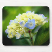 Tapis De Souris Fleur Hydrangea douce (Devant)