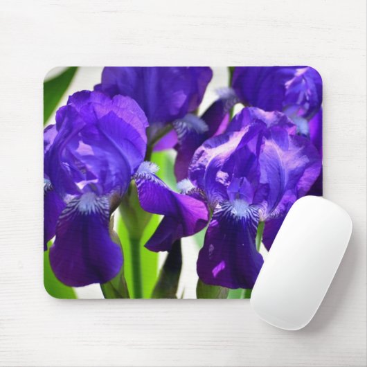 Tapis De Souris Fleur Iris Iris Violet (Avec souris)