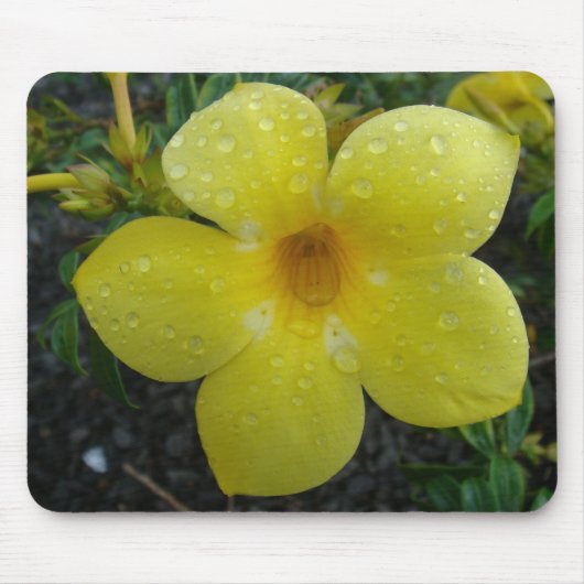 Tapis De Souris Fleur jaune (Devant)