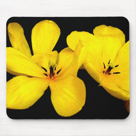 Tapis De Souris Fleur jaune Mousepad (Devant)