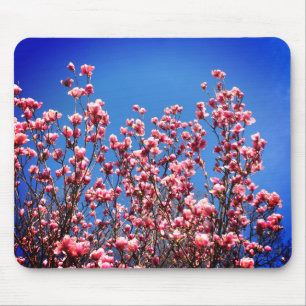 Tapis De Souris Fleur Magnolia Fleur Ciel Bleu