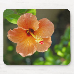 Tapis De Souris Fleur Mousepad de Hibiscis