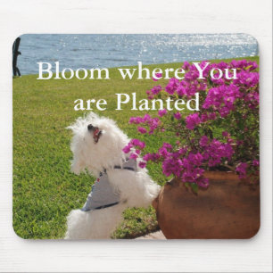 Tapis De Souris Fleur où vous êtes image plantée de mousepad