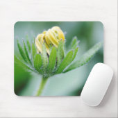 Tapis De Souris Fleur ouverte de l'Echinacea (Avec souris)