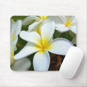 Tapis De Souris Fleur Plumeria Hawaii Blanc (Avec souris)