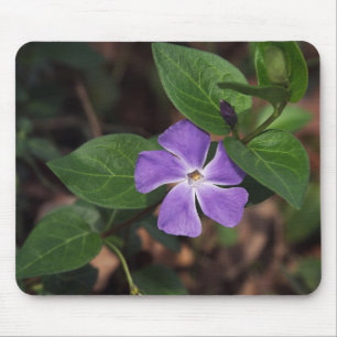 Tapis De Souris Fleur pourpre