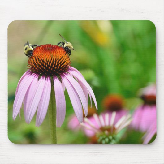 Tapis De Souris Fleur pourpre de cône (Devant)