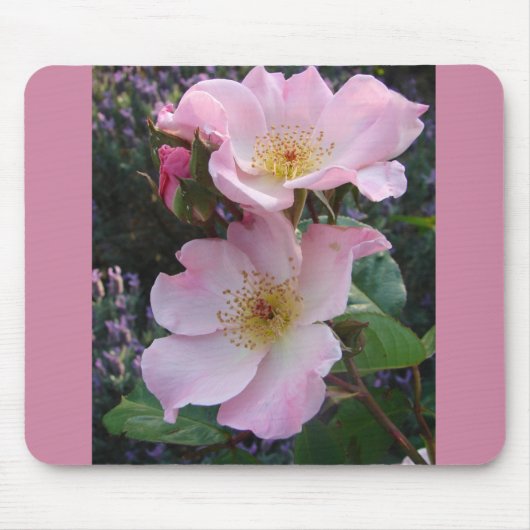Tapis De Souris Fleur Rose rose (Devant)
