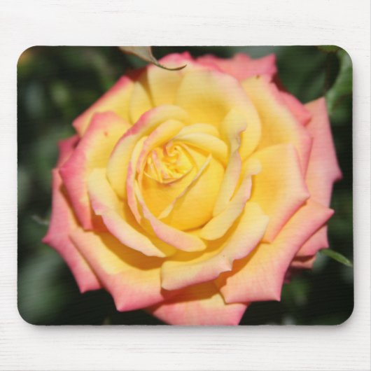 Tapis De Souris Fleur rose rose jaune chaud (Devant)