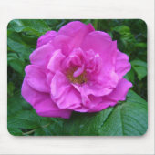Tapis De Souris fleur rose rose, violet (Devant)