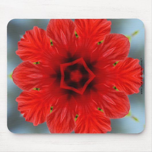 Tapis De Souris Fleur rouge (Devant)