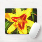 Tapis De Souris Fleur rouge et jaune Mousepad de Daylily (Avec souris)