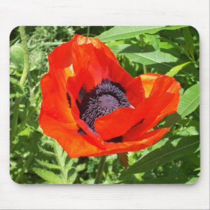 Tapis De Souris Fleur rouge vif sur vert