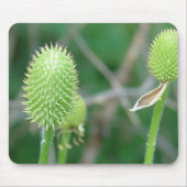 TAPIS DE SOURIS FLEUR SAUVAGE 2 (Devant)