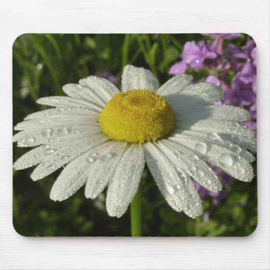 Tapis De Souris Fleur sauvage Daisy et Summer Lilac (Devant)