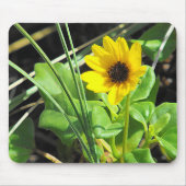 Tapis De Souris Fleur sauvage jaune (Devant)