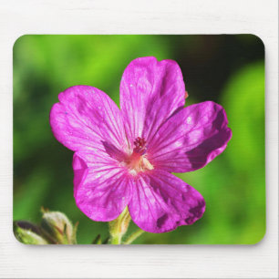 Tapis De Souris Fleur sauvage rose vif en fleurs vert Gris