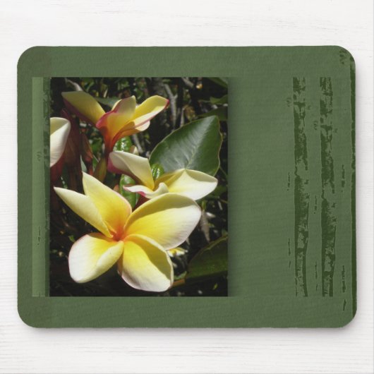 Tapis De Souris Fleur tropicale jaune de plumeria (Devant)