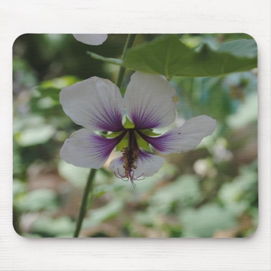 Tapis De Souris Fleur Violette (Devant)