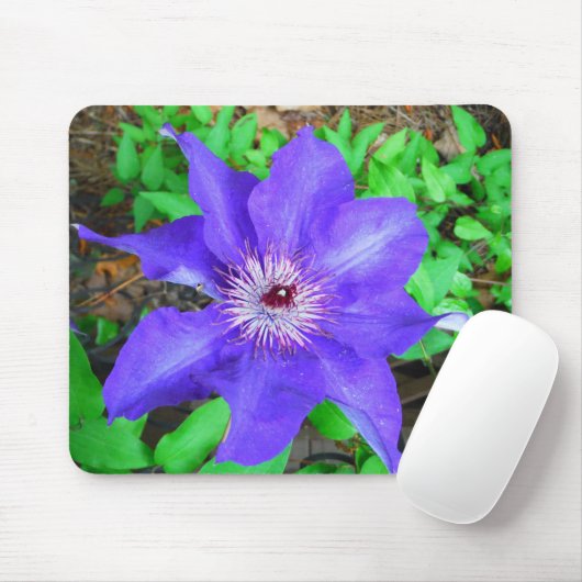 Tapis De Souris Fleur violette Clematis (Avec souris)