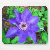 Tapis De Souris Fleur violette Clematis (Devant)