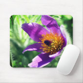 Tapis De Souris Fleur violette Pasque (Avec souris)