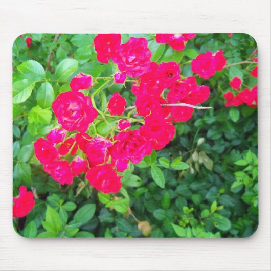 Tapis De Souris fleurs (Devant)