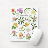 Tapis De Souris Fleurs aux Philippines (Avec souris)