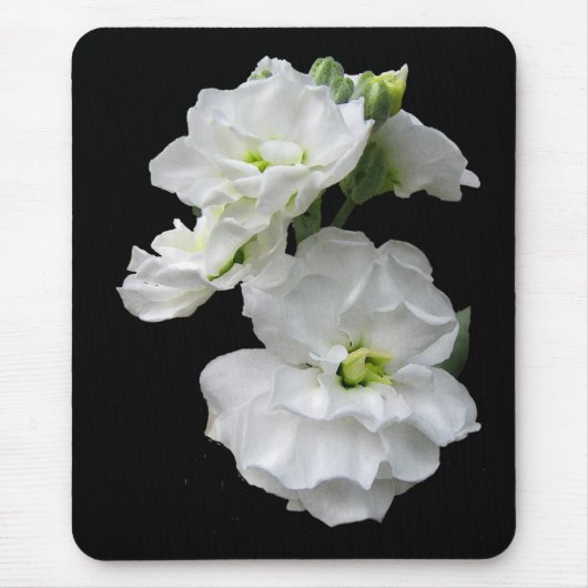 Tapis De Souris Fleurs blanches (Devant)