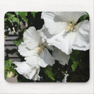 Tapis De Souris fleurs blanches accueillantes