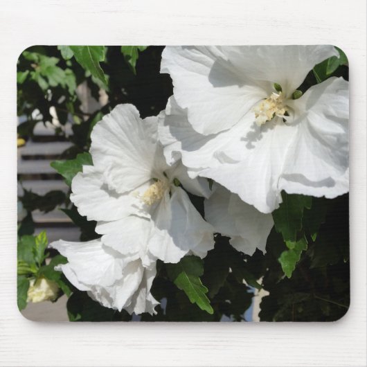 Tapis De Souris fleurs blanches accueillantes (Devant)