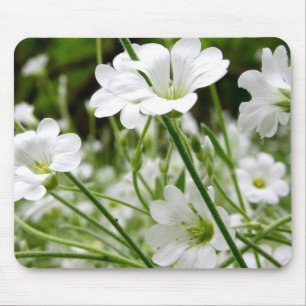 Tapis De Souris Fleurs blanches simples