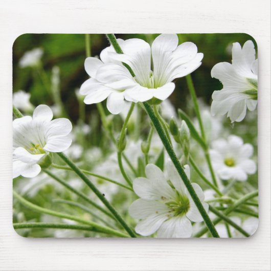 Tapis De Souris Fleurs blanches simples (Devant)