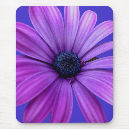 Tapis De Souris Fleurs Bleues Mousepad Daisy Daisy Cadeaux Ordinat (Devant)