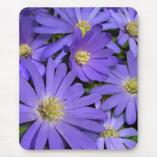 Tapis De Souris Fleurs bleues Mousepad Purple / Décor bleu Cadeaux (Devant)
