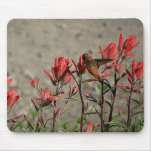 Tapis De Souris Fleurs cardinales de colibri