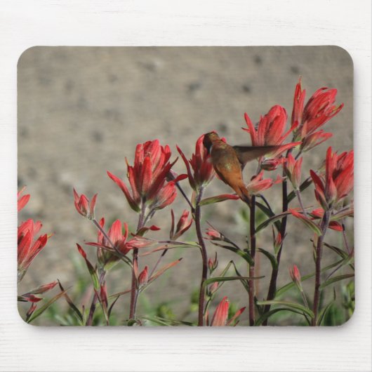 Tapis De Souris Fleurs cardinales de colibri (Devant)