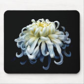 Tapis De Souris Fleurs | Chrysanthème blanc (Devant)