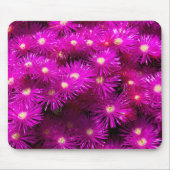 Tapis De Souris Fleurs d'aster rose (Devant)
