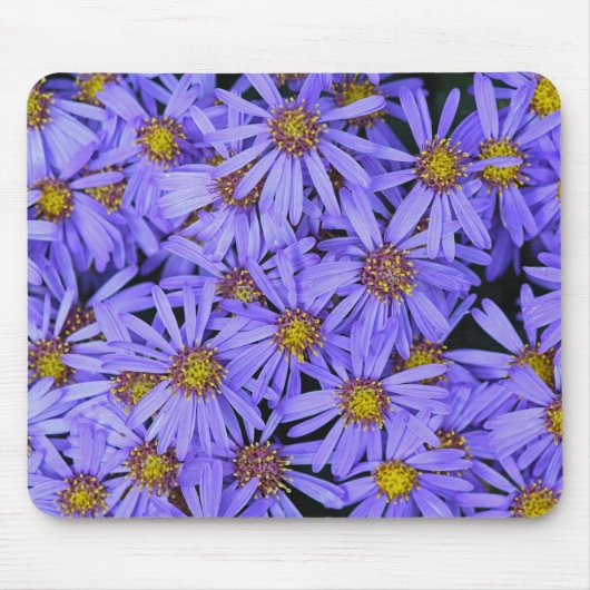 Tapis De Souris Fleurs d'Aster violet à RHS Garden Wisley (Devant)