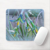 Tapis De Souris Fleurs de bromeliade sur bleu (Avec souris)