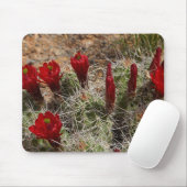 Tapis De Souris fleurs de cactus Claret Cup 2 (Avec souris)