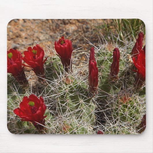 Tapis De Souris Fleurs de cactus de la Coupe Claret 2 (Devant)