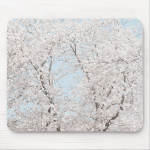 Tapis De Souris fleurs de cerisier