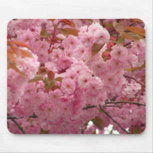 Tapis De Souris Fleurs de cerisier