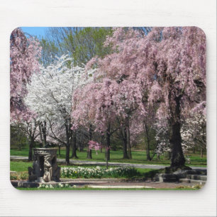 Tapis De Souris Fleurs de cerisier à Philadelphie Mousepad