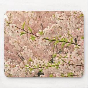 Tapis De Souris Fleurs de cerisier au printemps
