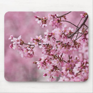 Tapis De Souris Fleurs de Cerisier Sakura Pastel Rose Calquees