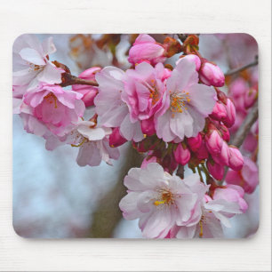 Tapis De Souris Fleurs de cerisiers roses