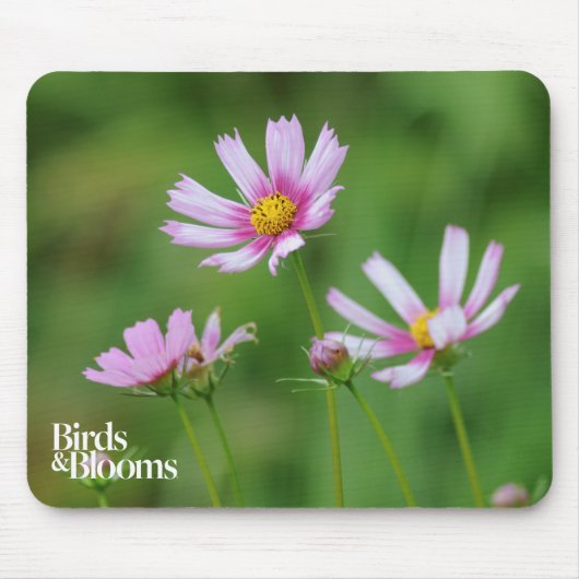 Tapis De Souris Fleurs de cosmos (Devant)
